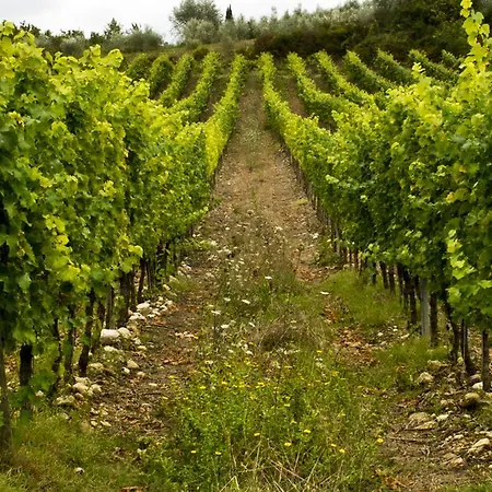 Apartment Poggio Torselli San Casciano in Val di Pesa