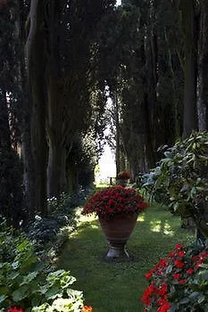 Apartment Poggio Torselli *