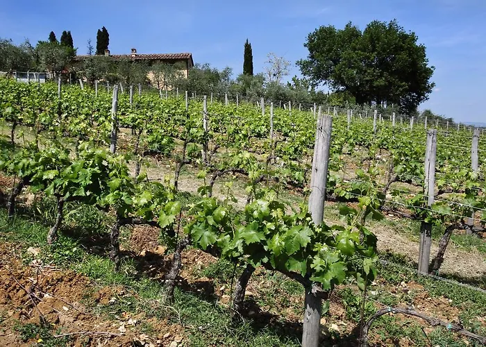 Poggio Torselli Apartment San Casciano in Val di Pesa