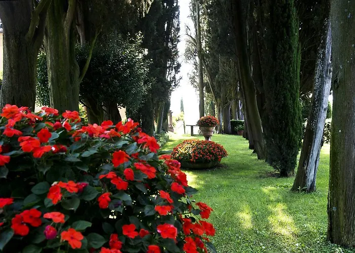 Poggio Torselli Apartment