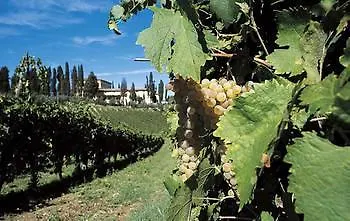 Poggio Torselli